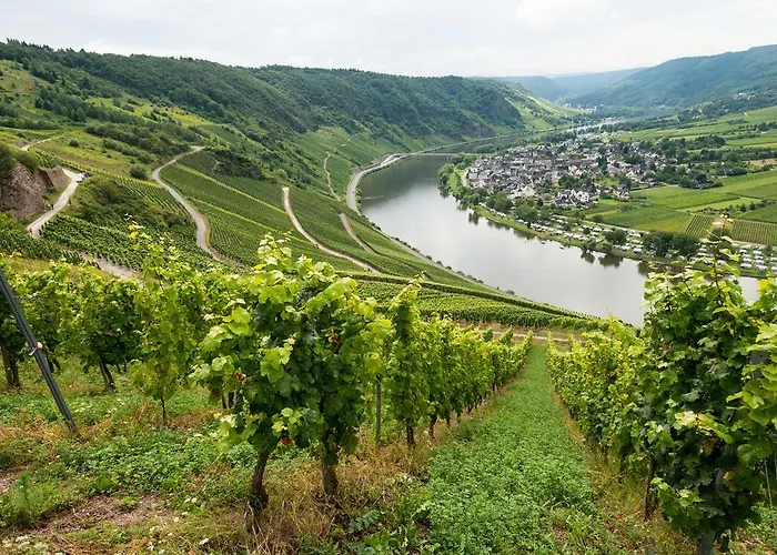 Hotel Trabener Hof Traben-Trarbach